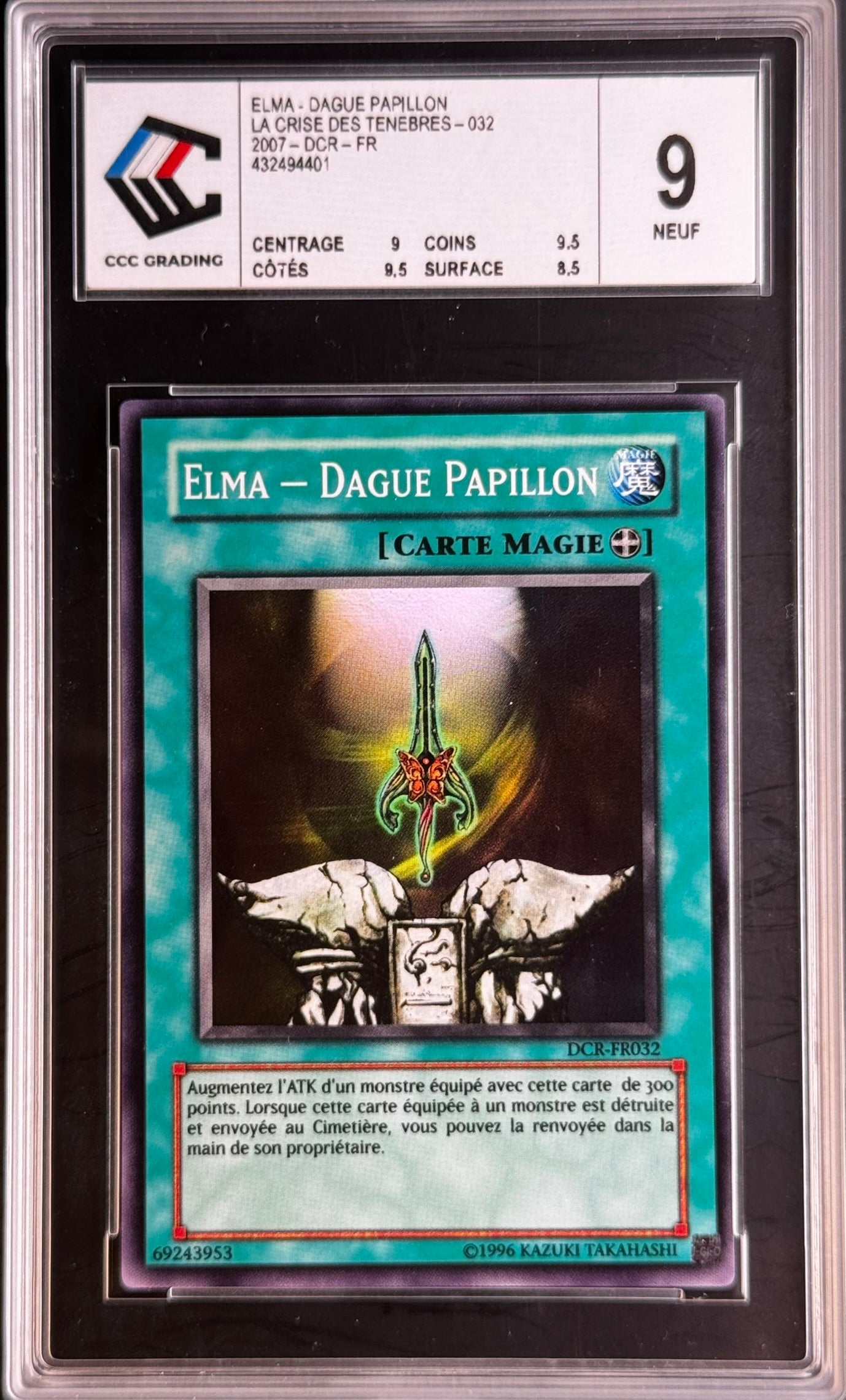 Elma Dague Papillon DCR-FR032 gradé 9