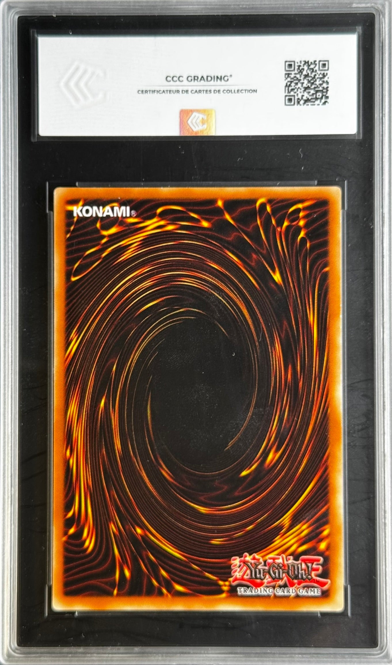 Elma Dague Papillon DCR-FR032 gradé 9