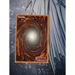 Cyber Prima EOJ-FR007 1st