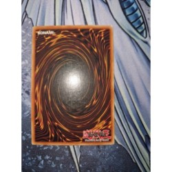 Puissance du Mage LDC-F050 1st