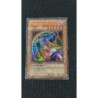 Magicienne des Ténèbres RDS-FRSE2