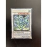 Dragon Poussière d'Étoile TDGS-FR040 1st