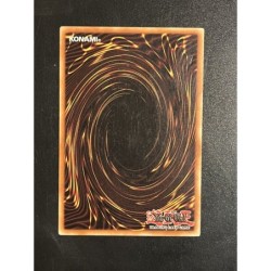 Cyber Dragon Jumelé CRV-FR035 1st