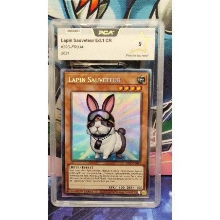 Lapin Sauveteur KICO-FR034 1st gradé 9