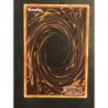 Tourbillon Noir TU01-FR005