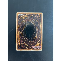 Soldat Lumineux TP7-FR004