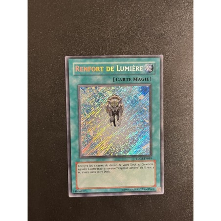 Renfort de Lumière TDGS-FR089