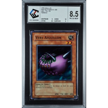 Vers Aiguillon TP5-FR005 gradé 8.5