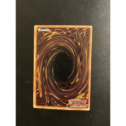 Don Zaloog PGD-029 1st