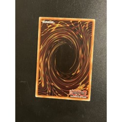 Dragon Cyber Jumelé CRV-FR035 1st