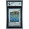 Dragon Poussière d'Étoile TDGS-FR040 1st gradé 9