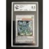 Dragon Poussière d'Étoile CT05-FR001 gradé 8,5