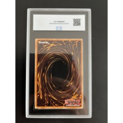 Magicien Sombre LDD-C005 gradé 9.5