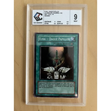 Elma Dague Papillon DCR-FR032 gradé 9
