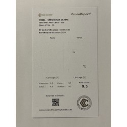 Yubel Cauchemar Ultime PTDN Gradé 9.5