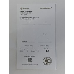 Magicien Sombre DDY-F005 Gradé 8.5