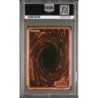 Dimension Fusion IOC-094 1st gradé 9