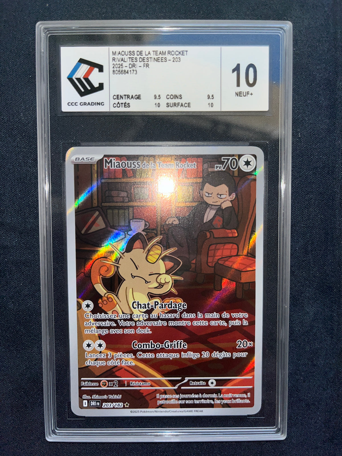 Miaouss de la Team Rocket DRI 203/182 Gradé 10