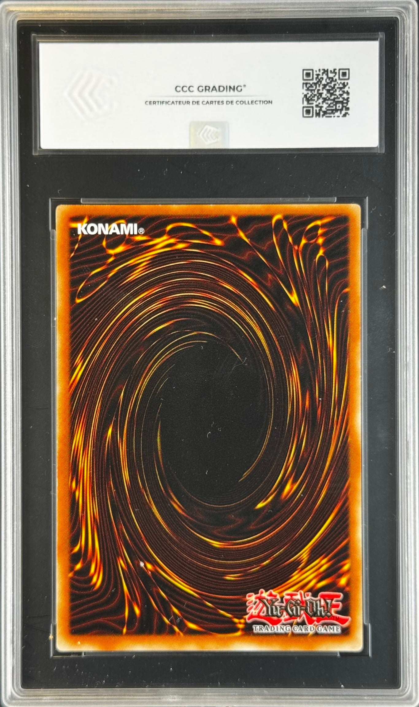 Princesse Insecte IOC-FR080 gradé 9.5