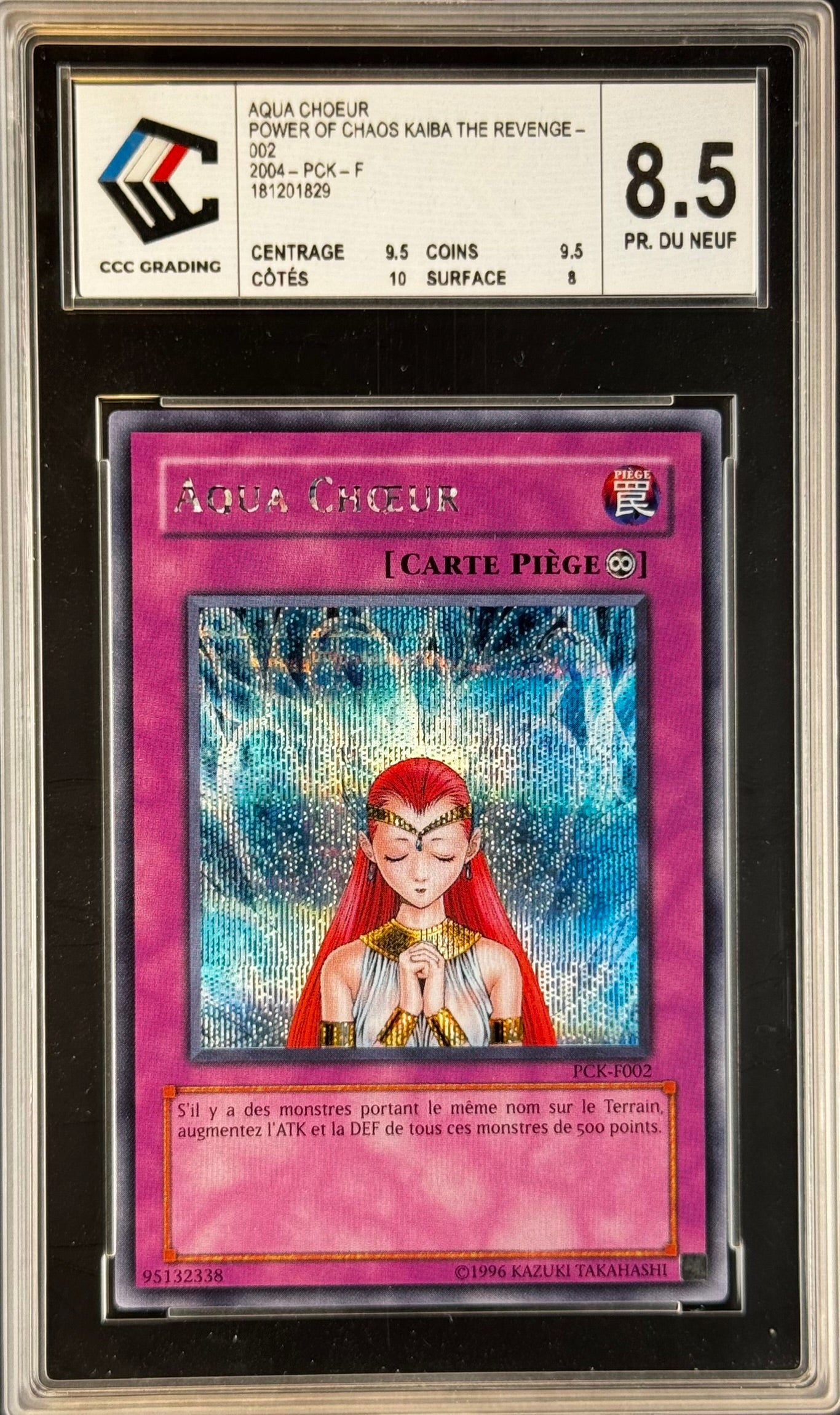 Aqua Choeur PCK Gradé 8.5