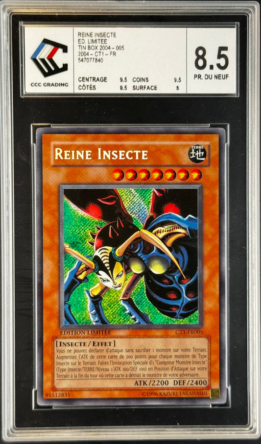 Reine Insecte CT1-FR005 gradé 8.5