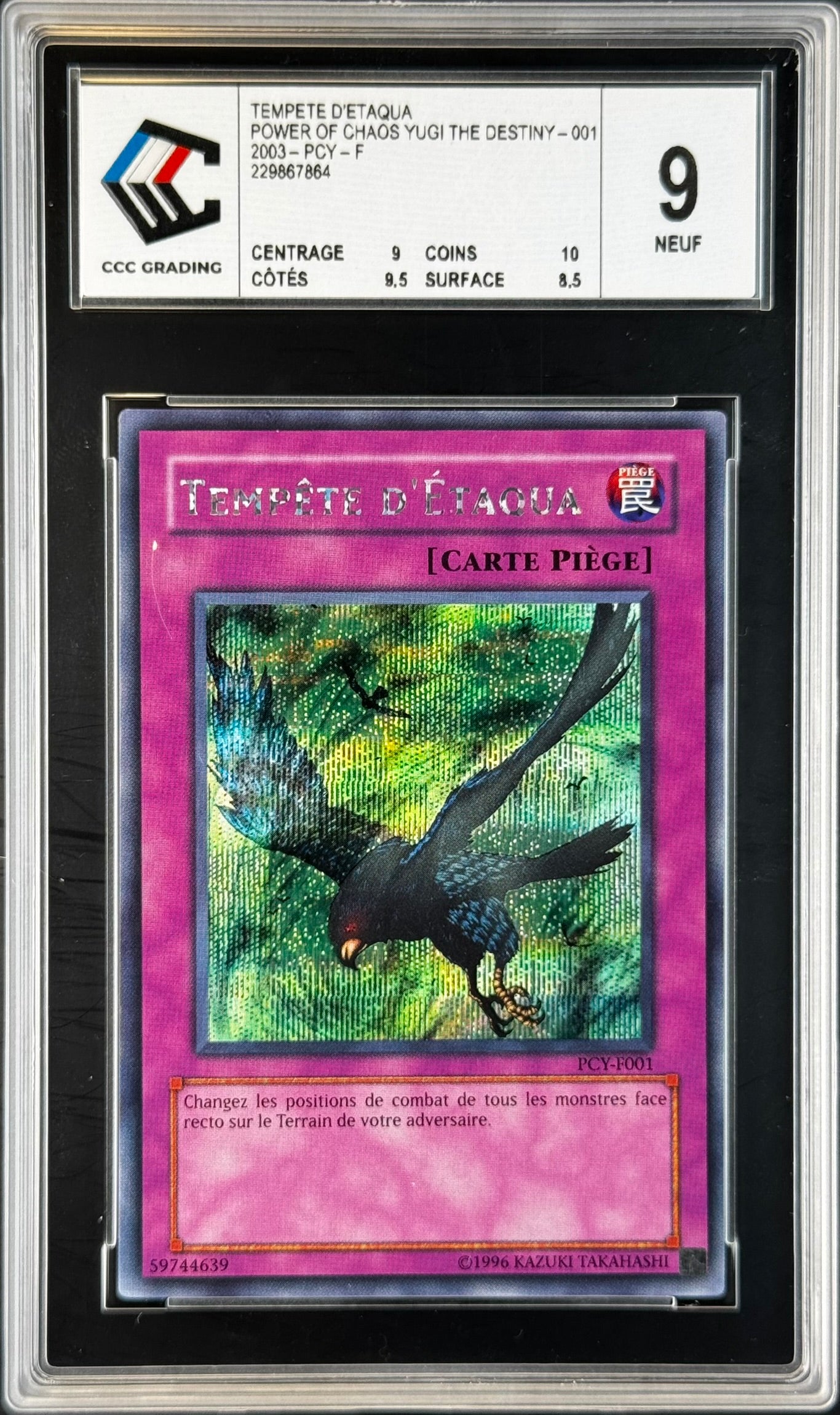 Tempête D'Etaqua PCY Gradé 9