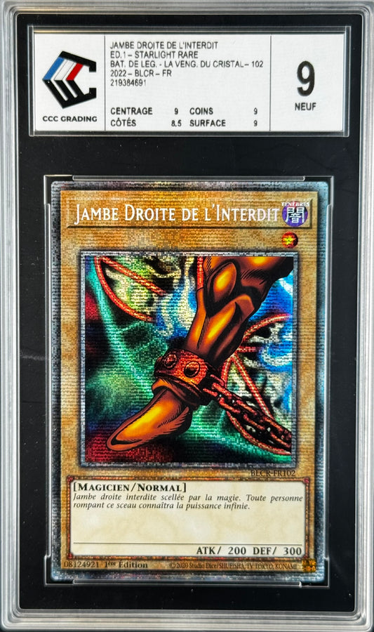 Jambe Droite de l'Interdit BLCR-FR102 1st gradé 9