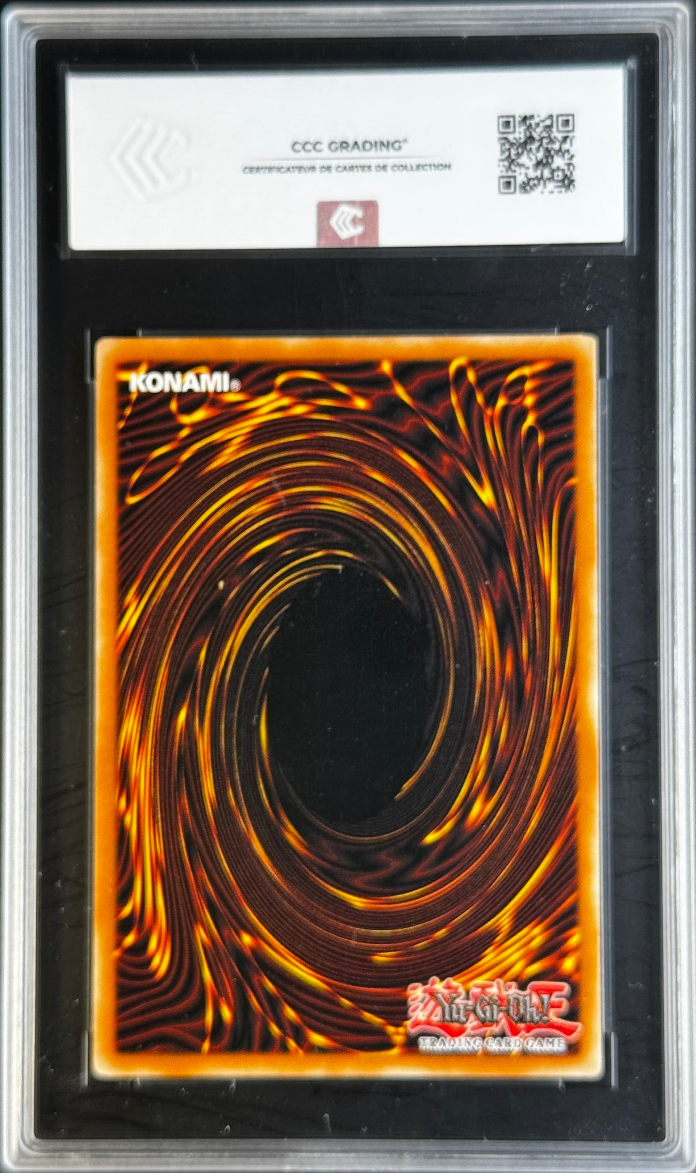 Vers Aiguillon TP5-FR005 gradé 8.5